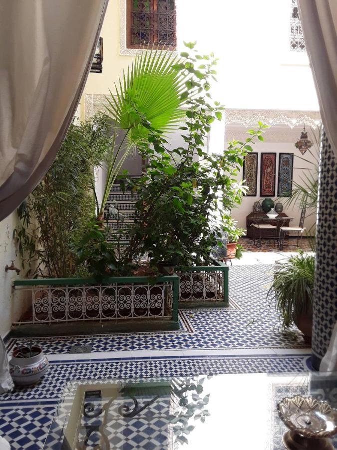 Riad Vega فاس المظهر الخارجي الصورة